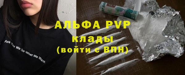 стаф Дмитровск