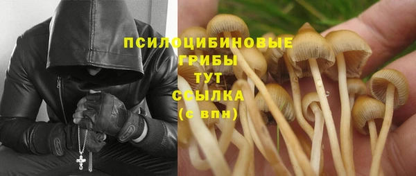 MDMA Premium VHQ Дмитриев