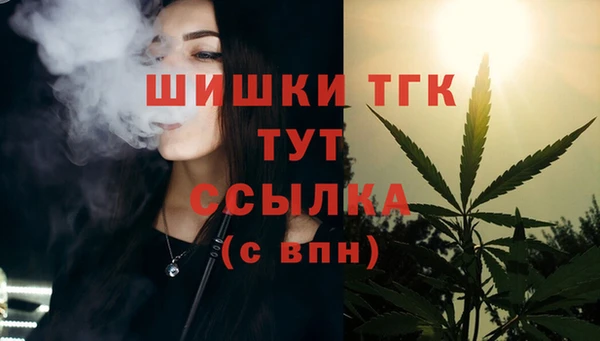 тгк Дмитров