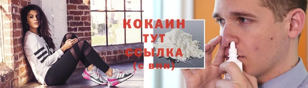 тгк Дмитров