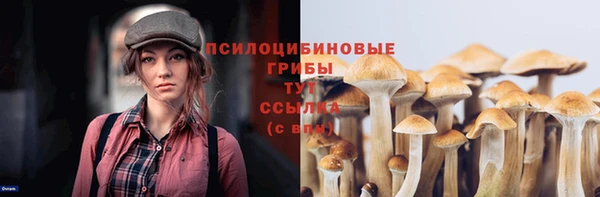 MDMA Premium VHQ Дмитриев