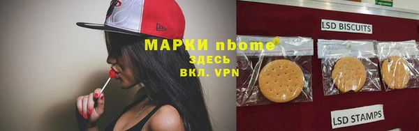 тгк Дмитров