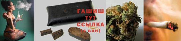 стаф Дмитровск