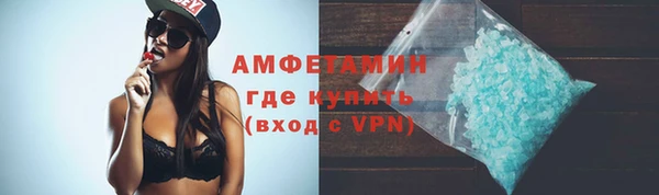 стаф Дмитровск