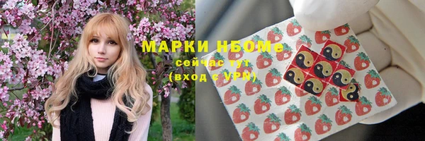 тгк Дмитров