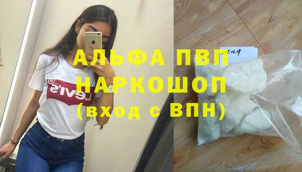 тгк Дмитров