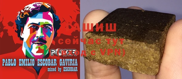 тгк Дмитров