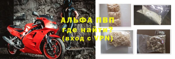 стаф Дмитровск