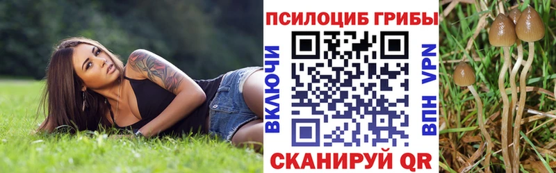 Купить закладки  Нижний Ломов  Псилоцибиновые грибы мицелий 